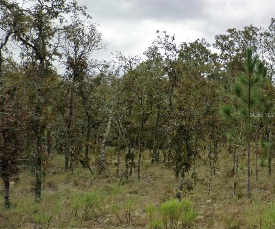 NE 11TH STREET WILLISTON, FL 32696
