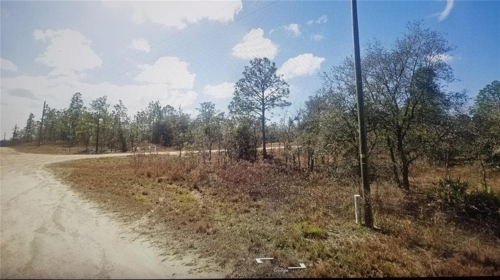 TINAMOU AVENUE WEEKI WACHEE, FL 34614