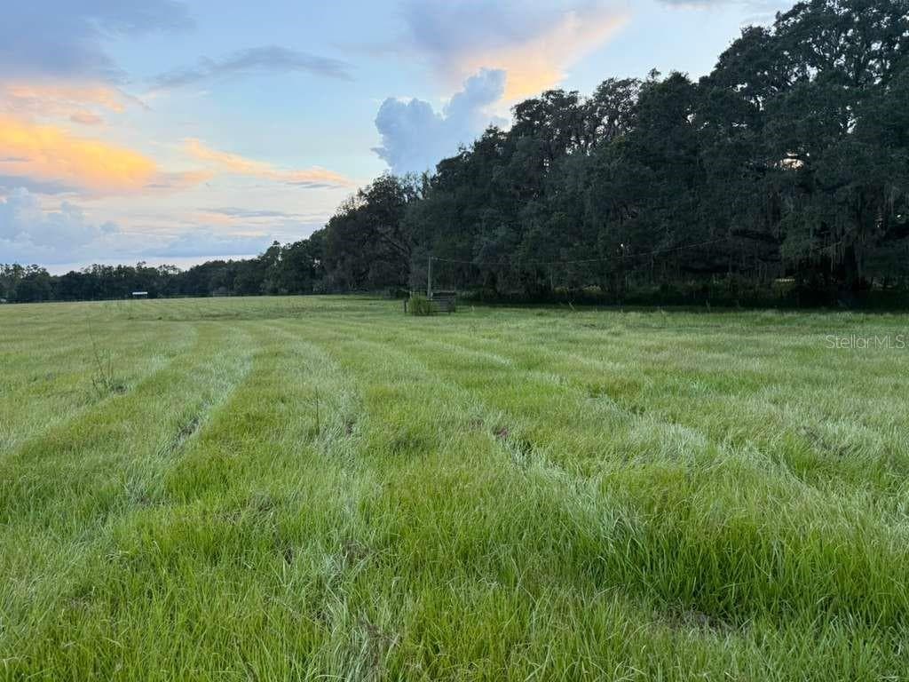 27900 BAYHEAD ROAD DADE CITY, FL 33523