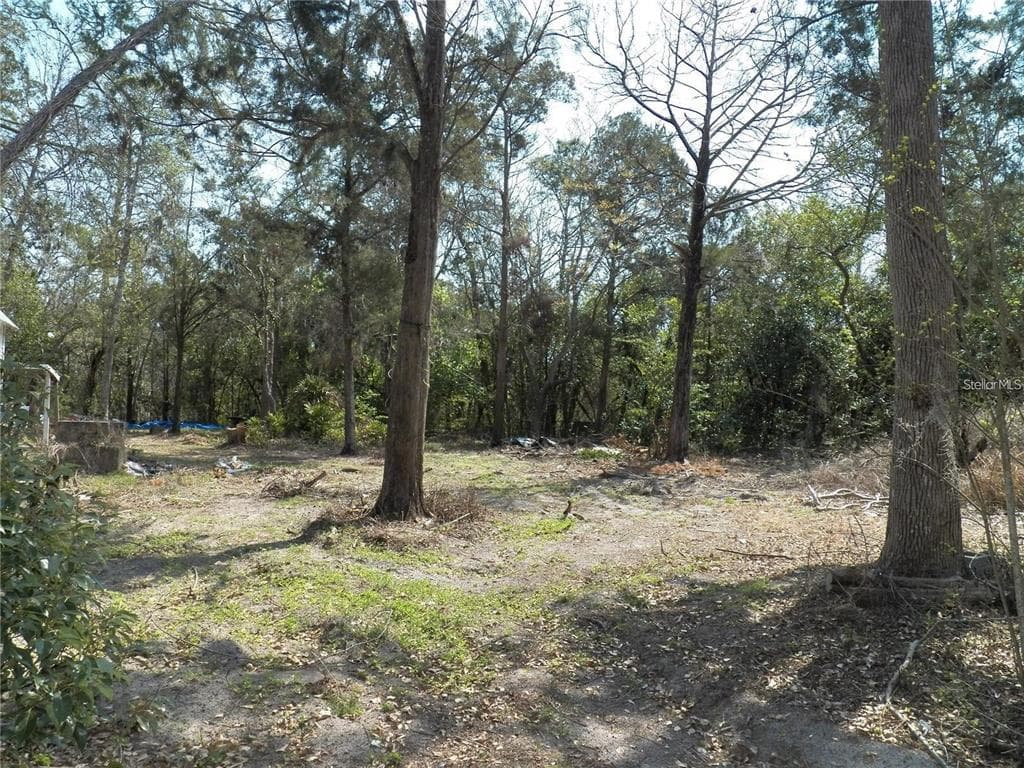 15730 GIFFORD LANE SPRING HILL, FL 34610