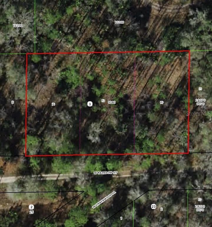 7265 W RAINBOW STREET DUNNELLON, FL 34433