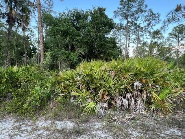 13352 RODIN DRIVE PUNTA GORDA, FL 33955