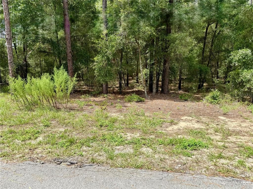 SW 205TH CIRCLE DUNNELLON, FL 34431