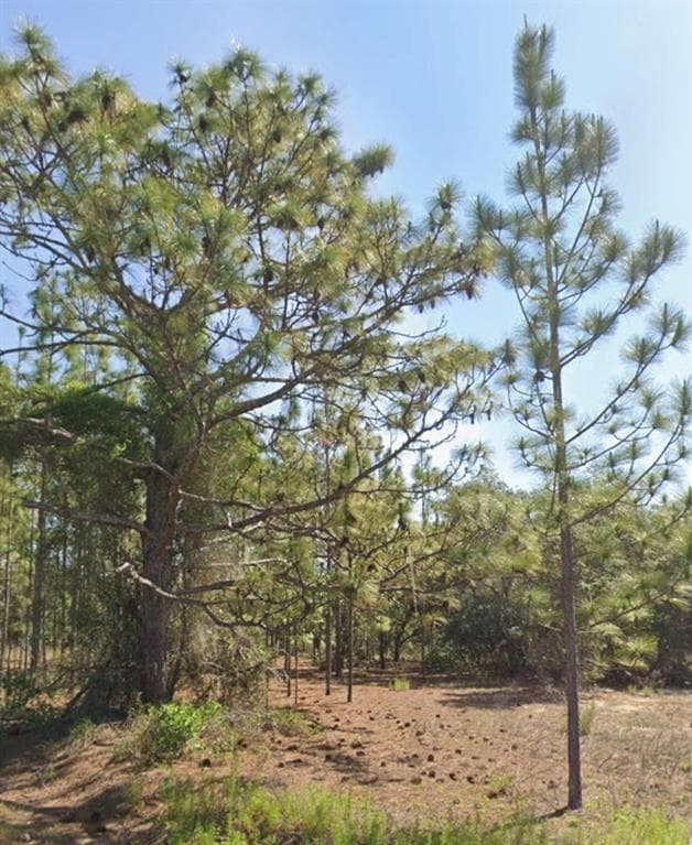 TBD SW FLORAL COURT DUNNELLON, FL 34431