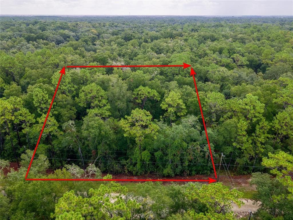 6342 KARWICH AVENUE WEBSTER, FL 33597