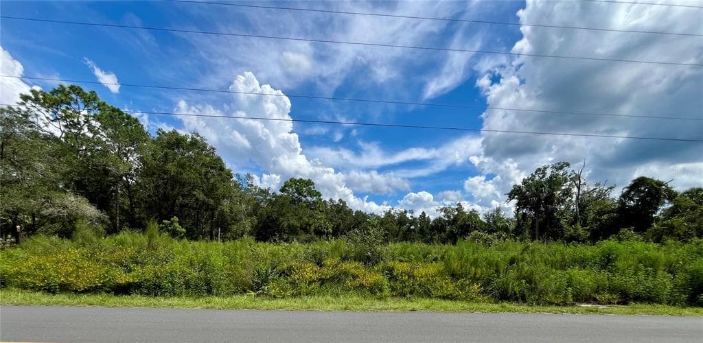 12362 W RIVERWOOD DRIVE CRYSTAL RIVER, FL 34428