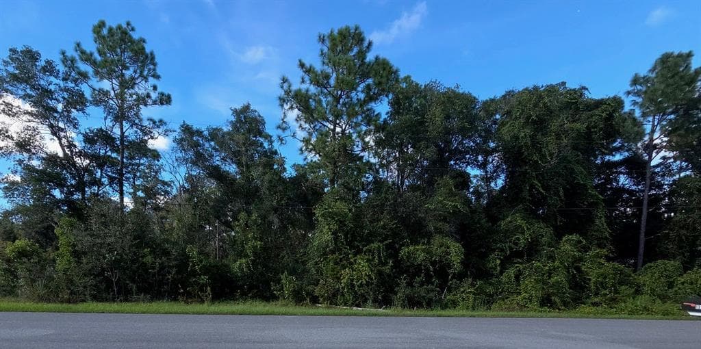 13155 SADDLE WAY BROOKSVILLE, FL 34613