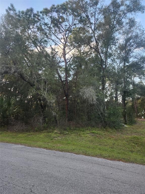4029 E WALKER STREET INVERNESS, FL 34453