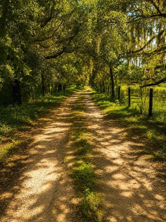 3230 SATURN ROAD BROOKSVILLE, FL 34604