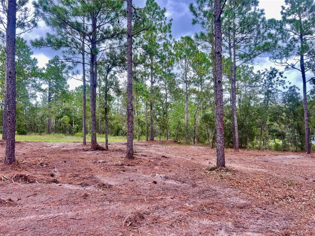 16 SW ANCHOR BOULEVARD DUNNELLON, FL 34431