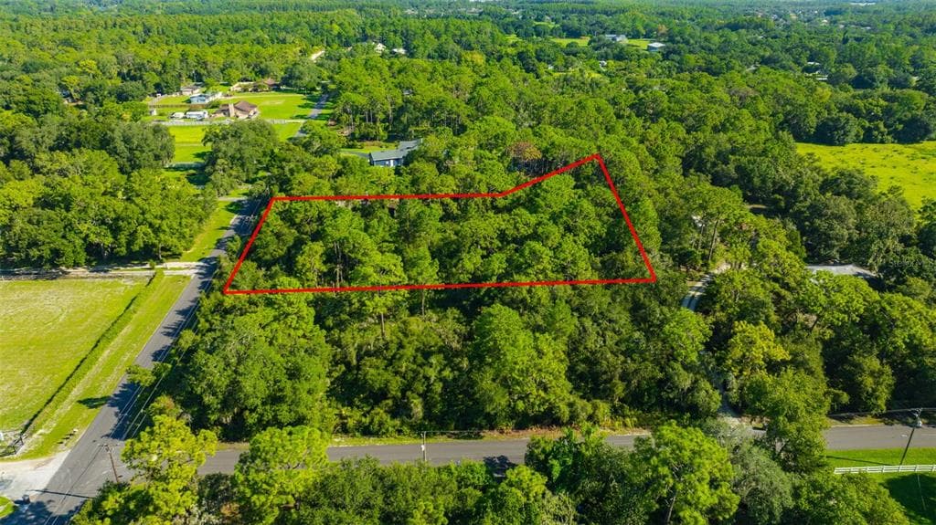 19807 HIAWATHA ROAD ODESSA, FL 33556