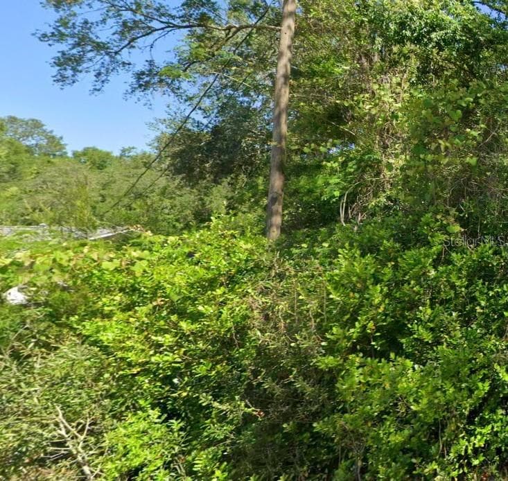 19667 FLAMINGO DRIVE DUNNELLON, FL 34431