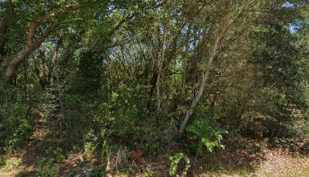 19901 FLAMINGO DRIVE DUNNELLON, FL 34431