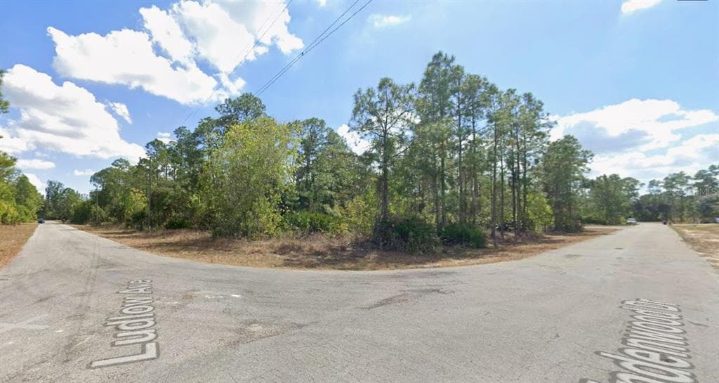 315 LUDLOW AVENUE LEHIGH ACRES, FL 33972