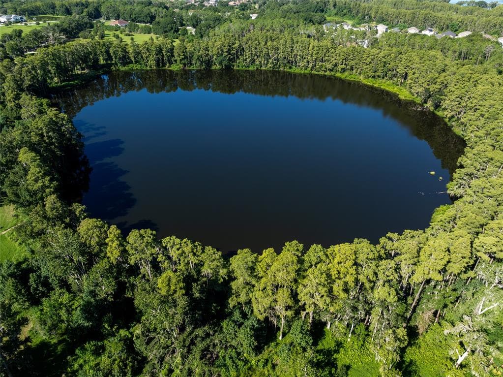 TBD COLLIER PARKWAY LAND O LAKES, FL 34639