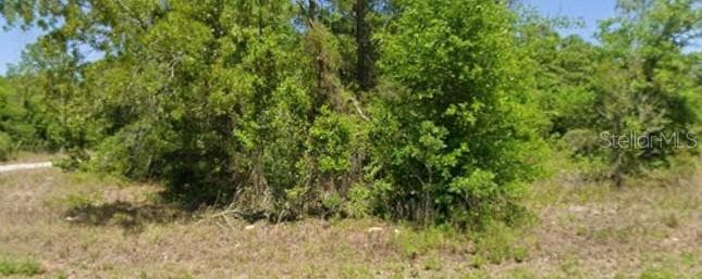 21943 RAINBOW LAKES BOULEVARD DUNNELLON, FL 34431