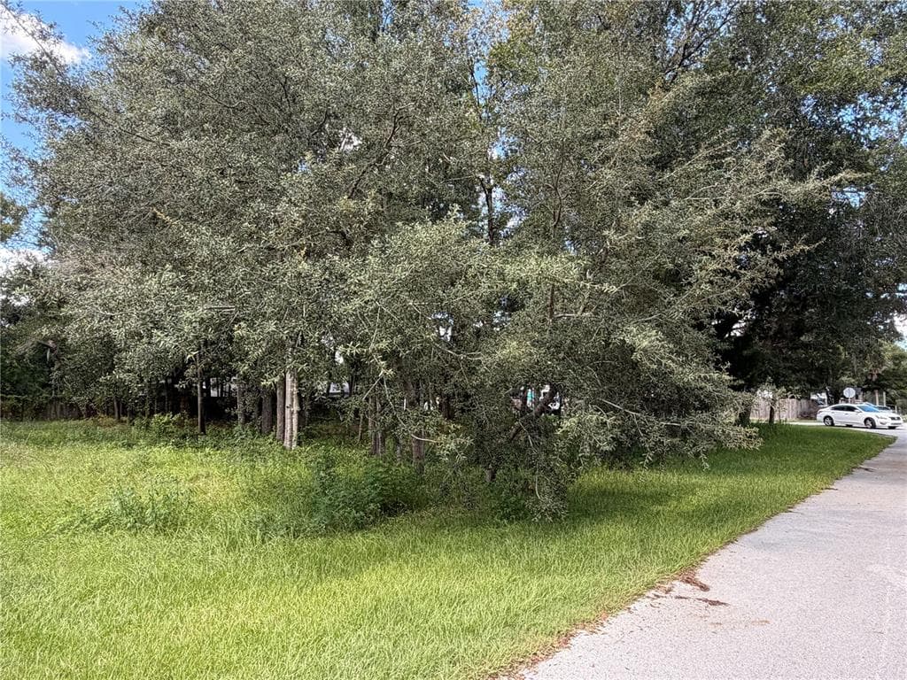 7457 W TURKEYNECK COURT HOMOSASSA, FL 34448