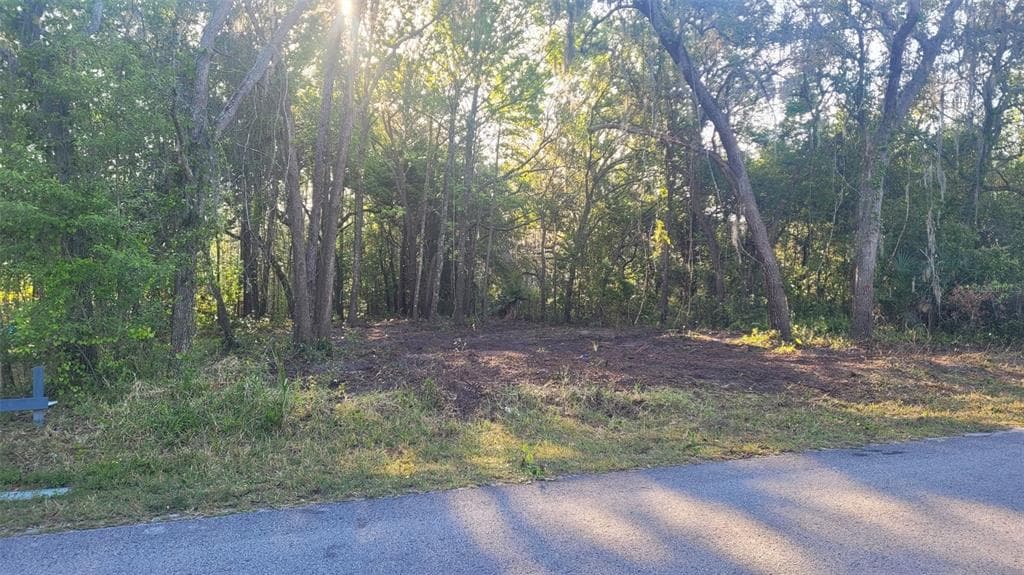 MARLEY AVENUE NEW PORT RICHEY, FL 34654