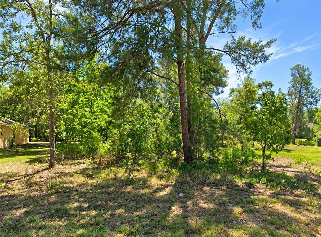10 DRACAENA COURT HOMOSASSA, FL 34446