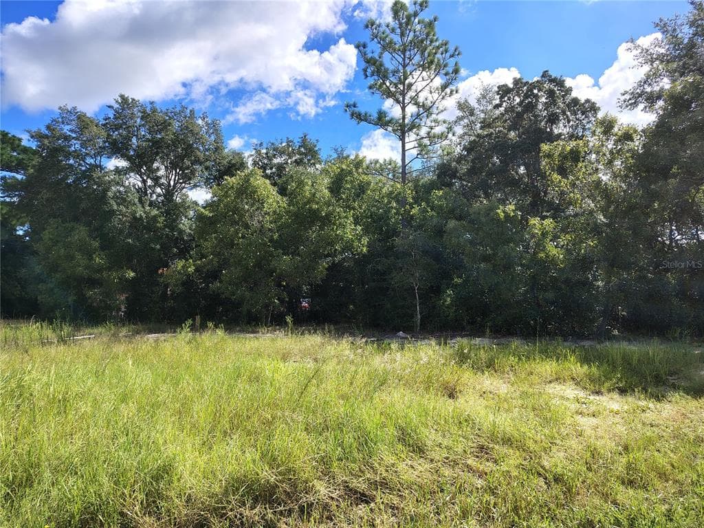 SILVER SPRINGS SHORES UNIT16 OCALA, FL 34472