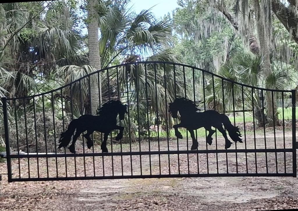 6800 NW HIGHWAY 320 MICANOPY, FL 32667