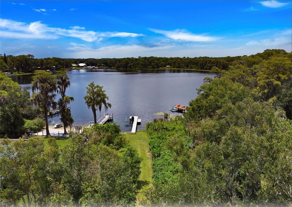 16928 CRAWLEY ROAD ODESSA, FL 33556