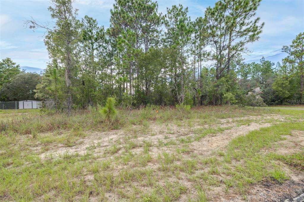 7662 N GALT POINT CITRUS SPRINGS, FL 34434