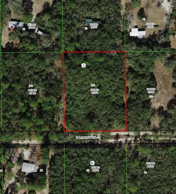 4385 W ROADRUNNER COURT HOMOSASSA, FL 34446