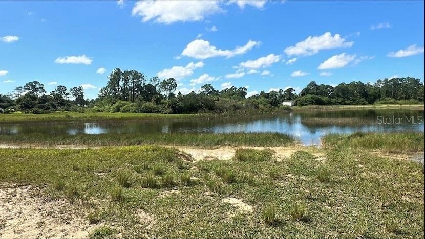 1026 BUTLER ST E LEHIGH ACRES, FL 33974
