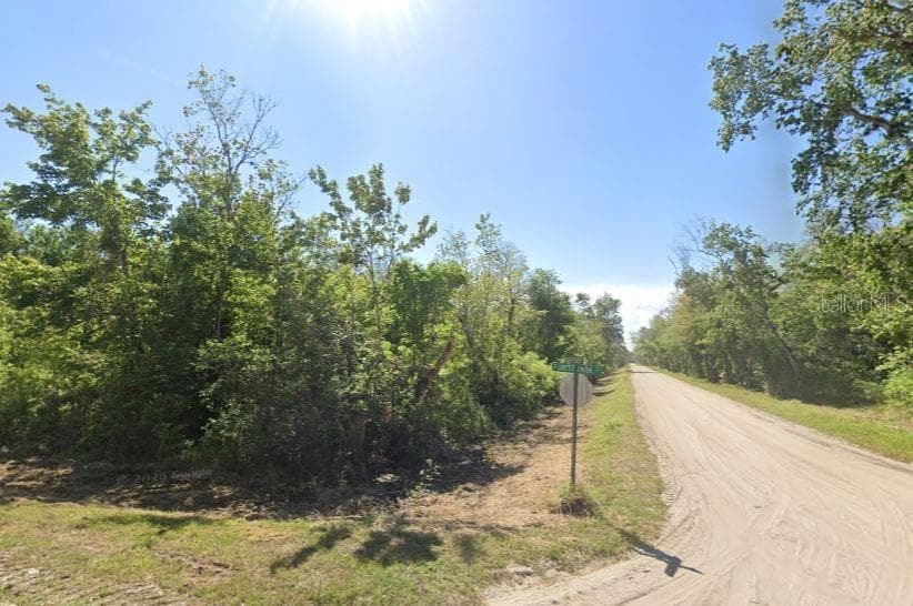 4001 EVERGREEN AVENUE BUNNELL, FL 32110