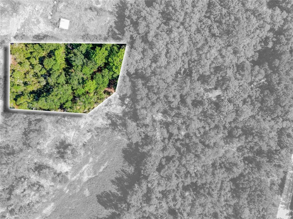 0 SANDSTONE STREET WEBSTER, FL 33597