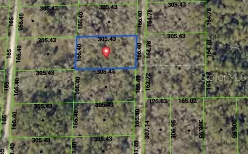 TBD PACKINGHAM DRIVE WEBSTER, FL 33597
