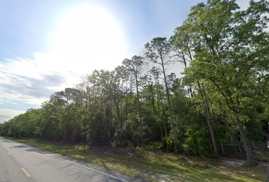 NE HWY 351 OLD TOWN, FL 32680