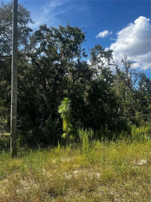 0 CRIDER ROAD WEEKI WACHEE, FL 34614
