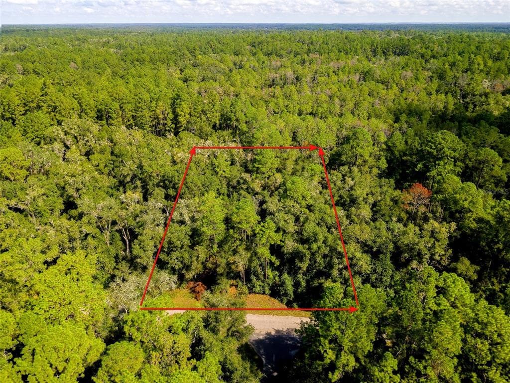 1135 E ODIN DRIVE CITRUS SPRINGS, FL 34434