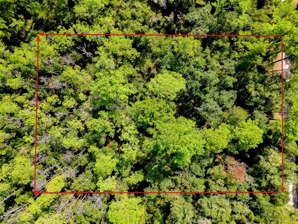 1163 E ODIN DRIVE CITRUS SPRINGS, FL 34434