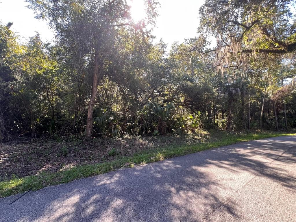 7923 N BITTEROOT DRIVE CRYSTAL RIVER, FL 34428