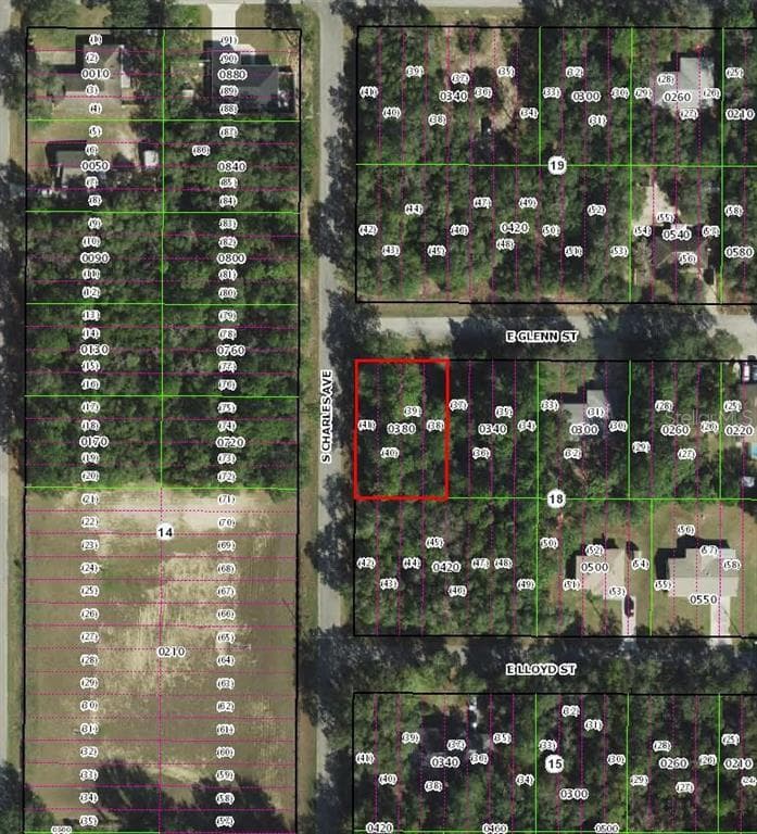 3022 E GLENN STREET INVERNESS, FL 34453