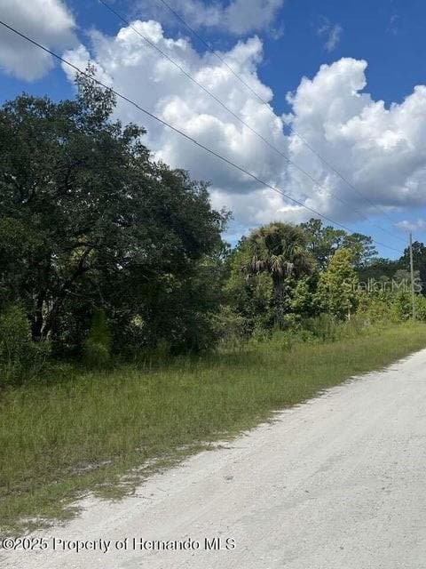 0000 PARROT BROOKSVILLE, FL 34614