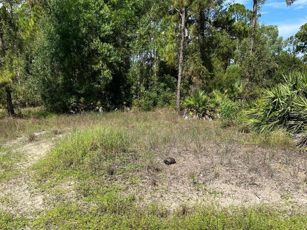 12 MONROE AVENUE LEHIGH ACRES, FL 33936