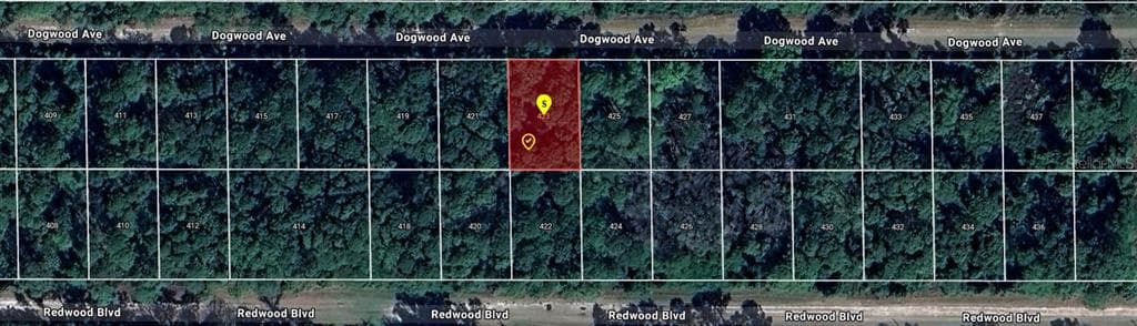 423 DOGWOOD AVENUE GEORGETOWN, FL 32139
