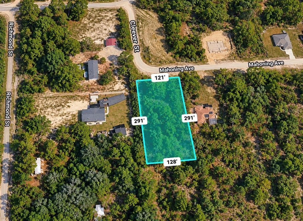 11284 CLEEVER STREET WEEKI WACHEE, FL 34614