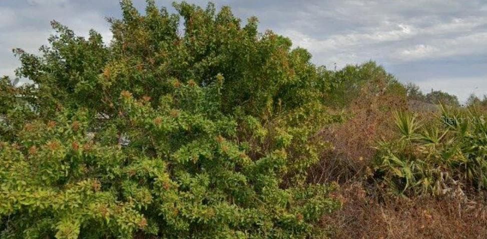6010 ELAINE AVENUE N LEHIGH ACRES, FL 33971
