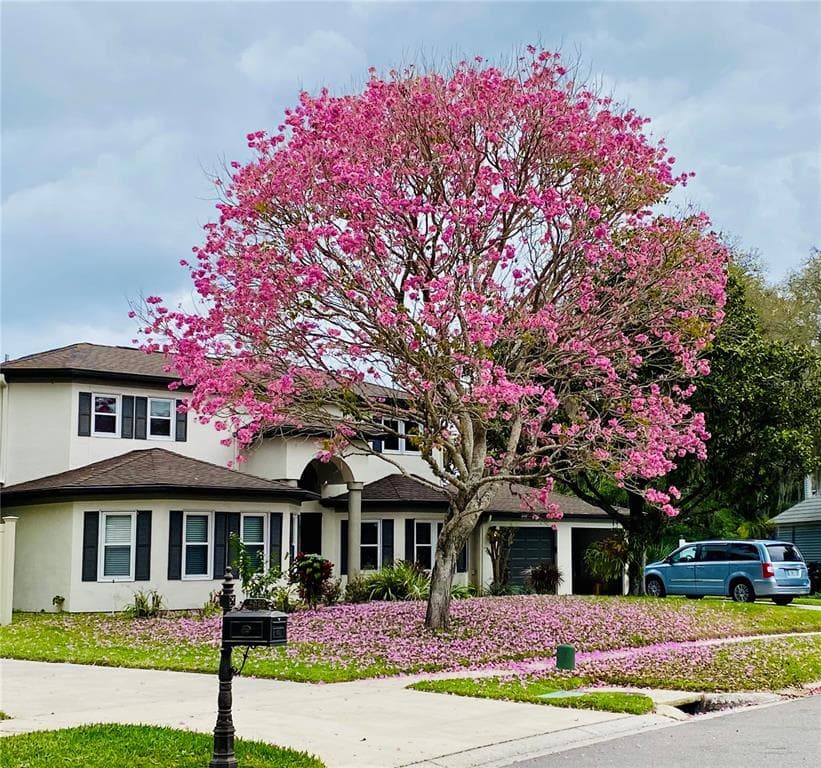 15924 NOTTINGHILL DRIVE LUTZ, FL 33548