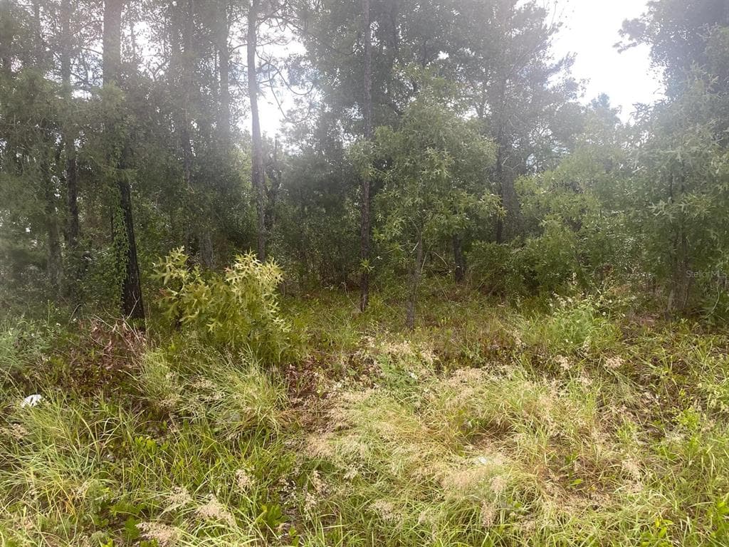 MARINER BOULEVARD SPRING HILL, FL 34609