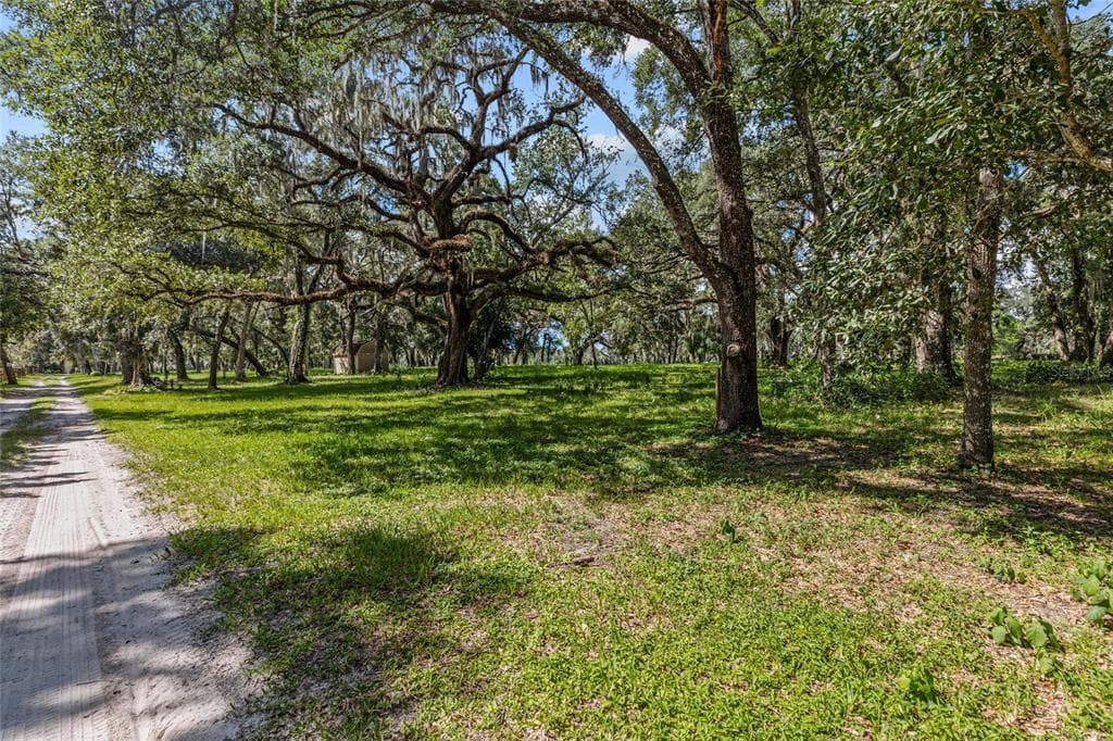 17445 PALMER LANE SPRING HILL, FL 34610