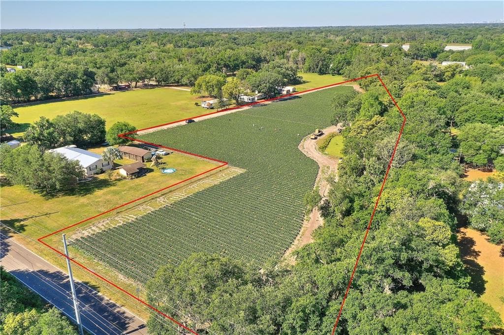 GALLAGHER ROAD DOVER, FL 33527