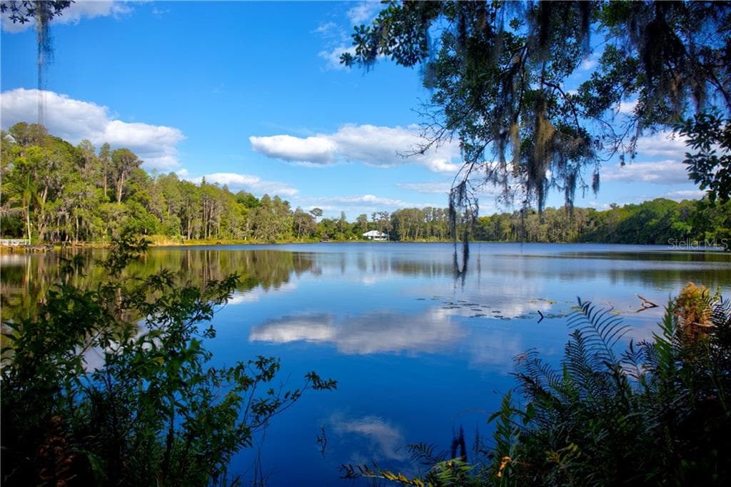 18821 4TH STREET SE LUTZ, FL 33549