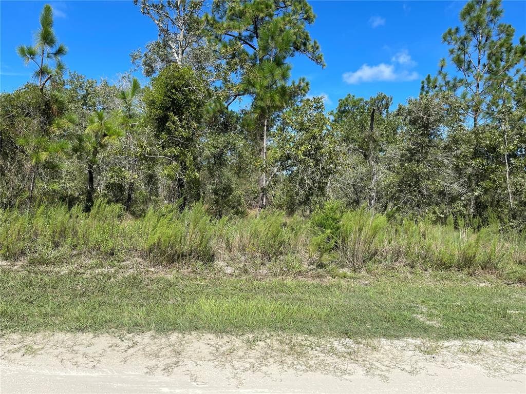 12137 EVERGLADES KITE ROAD WEEKI WACHEE, FL 34614