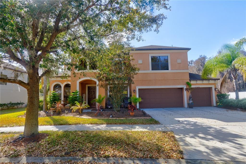 19203 CLIMBING ASTER DRIVE TAMPA, FL 33647